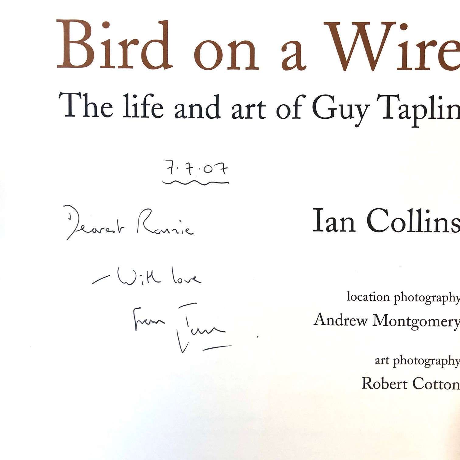 Bird on a Wire 1