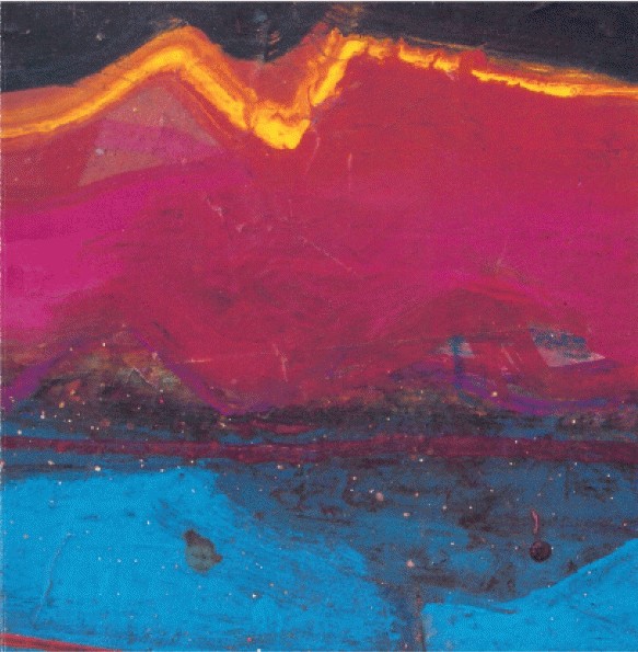Barbara Rae — Pallant Bookshop