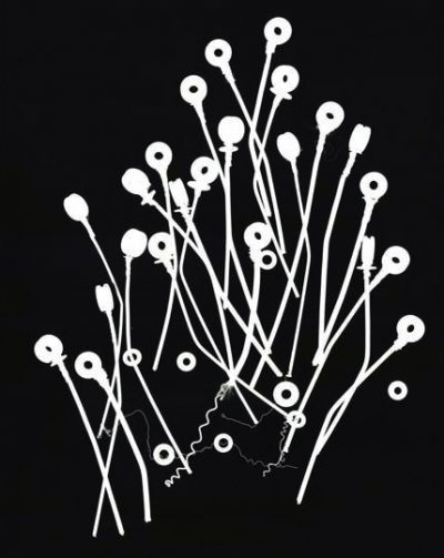 Relics-of-Sound-No.-7