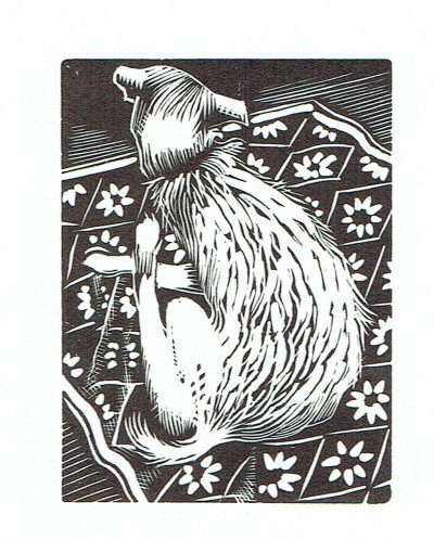 Dog Scratching
