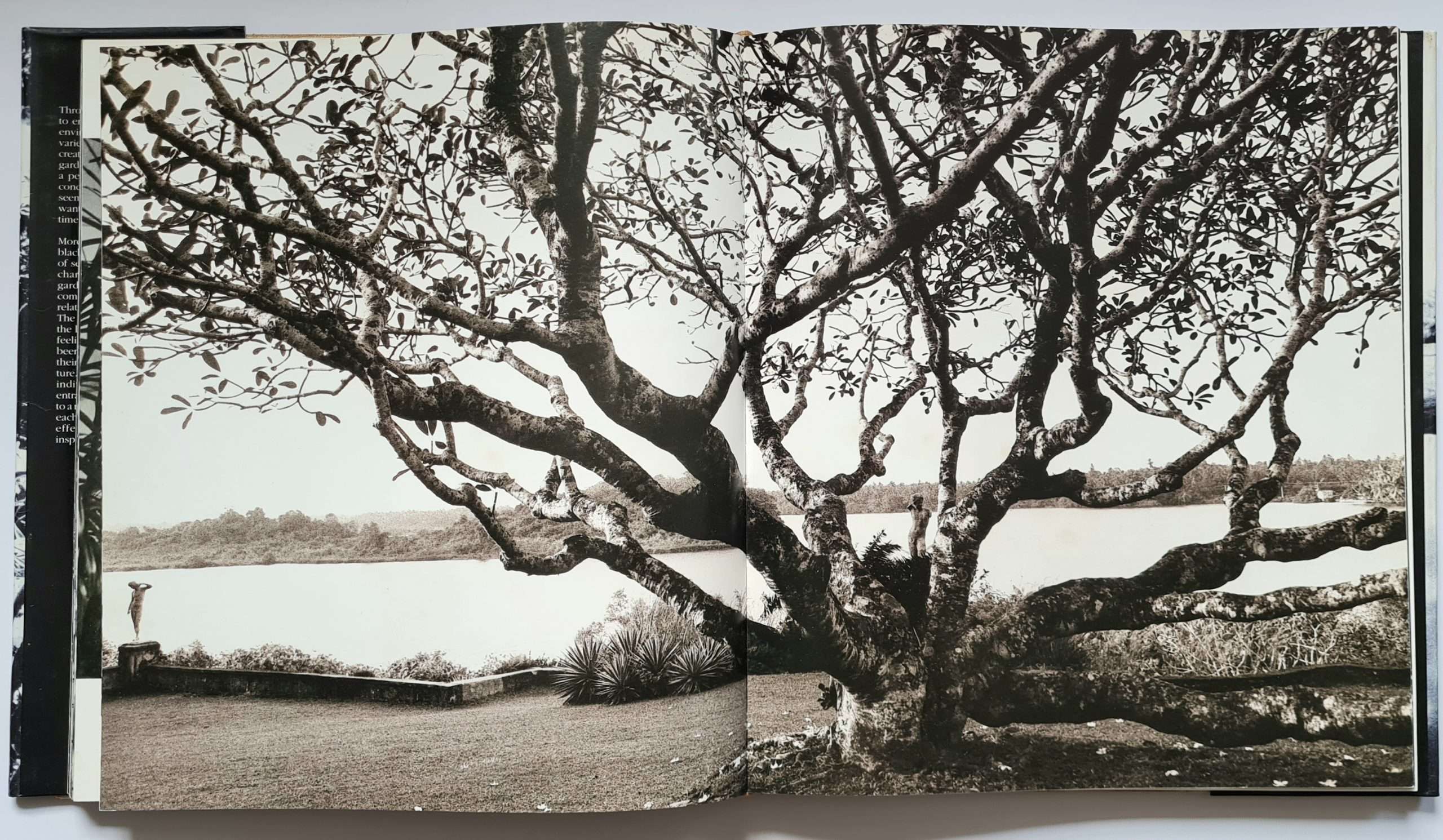 Lunuganga (1990) - Image 3
