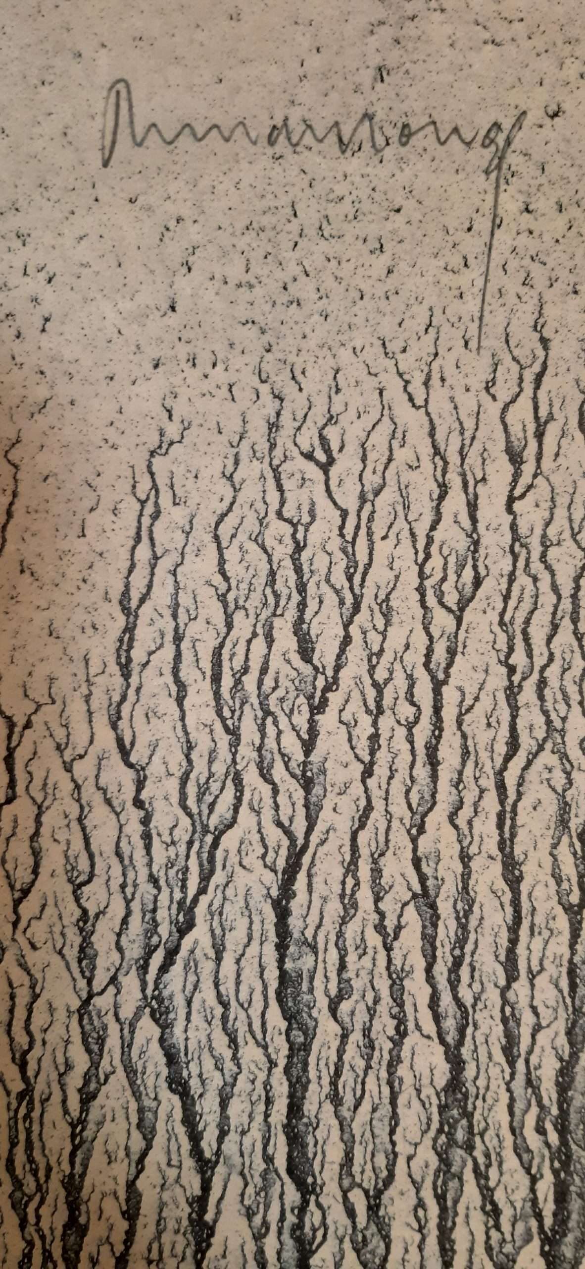 Richard Long: Walking in Circles (SIGNED BY THE ARTIST) - Image 2