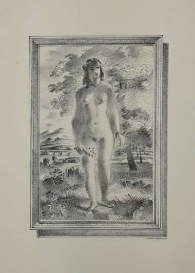 Freedman 13