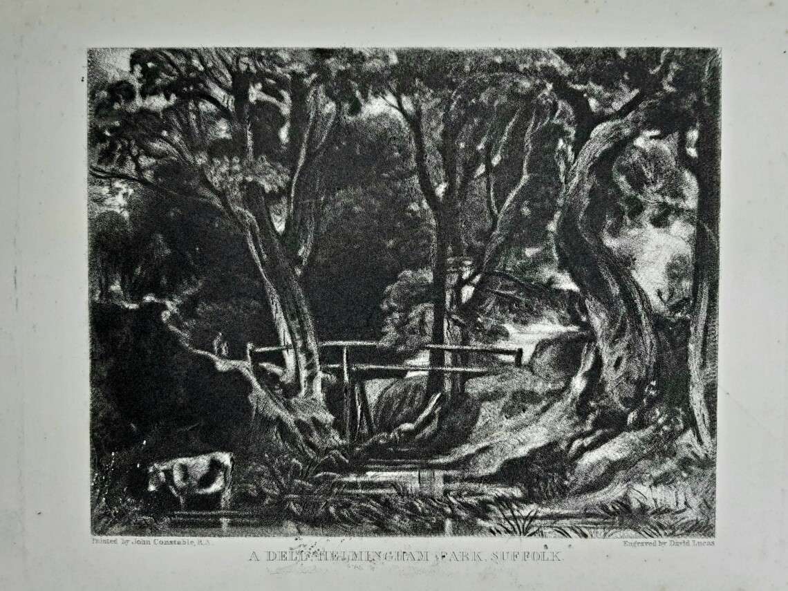 'A Dell, Helmingham Park, Suffolk' Mezzotint Engraving (After a Work by John Constable). From ‘English Landscape Scenery’, 1855