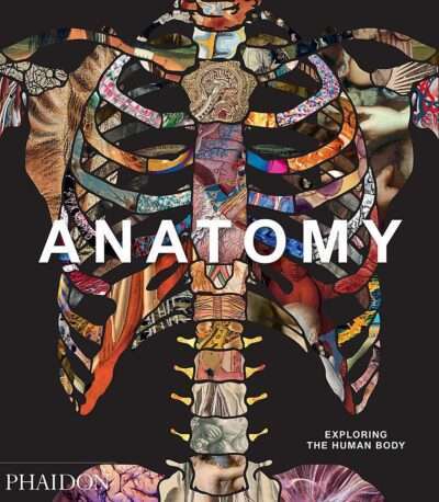 anatomy