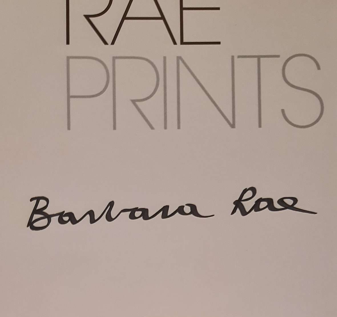 Barbara Rae: Prints (Signed by the Artist) (2010) - Image 5