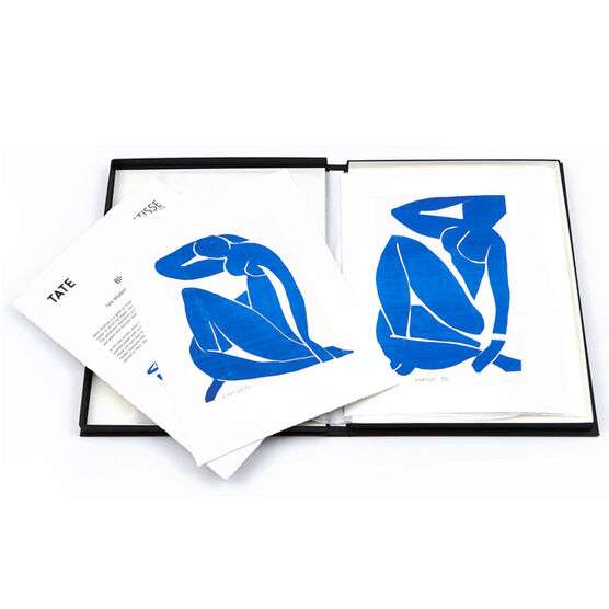 Henri Matisse Blue Nude (Portfolio)