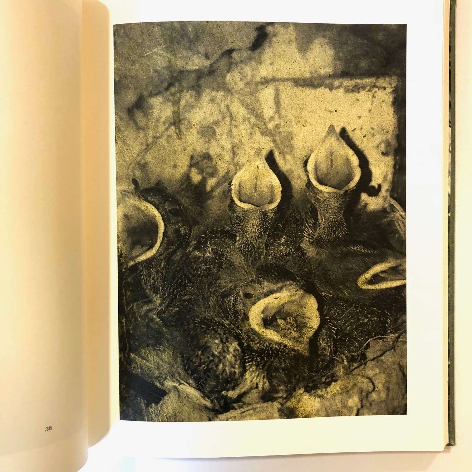 Night Procession by Stephen Gill (Signed and dedicated by Gill to Ronald Blythe) - Image 3