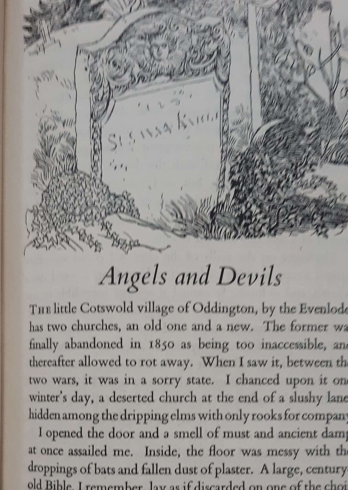 Adam was a Ploughman by C. Henry Warren (Dust-jacket by John Aldridge) (1947) - Image 3