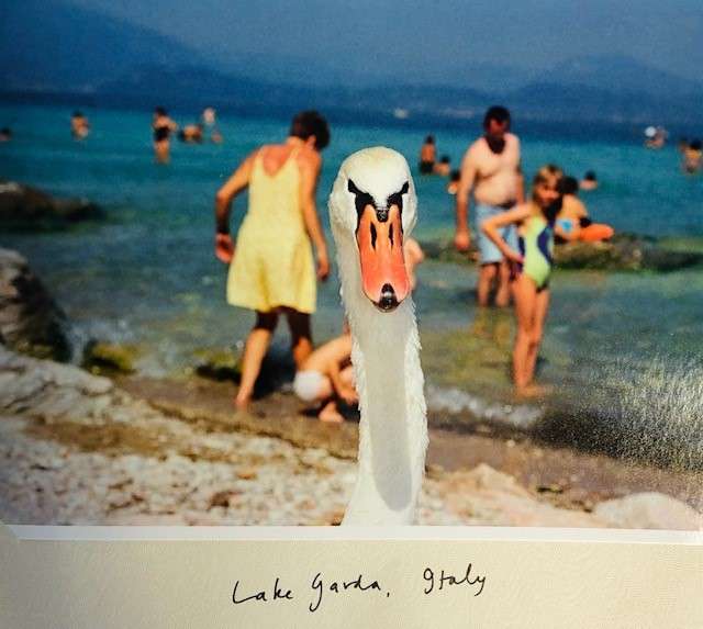 Martin Parr: Life's a Beach (Signed Limited Edition) - Image 2