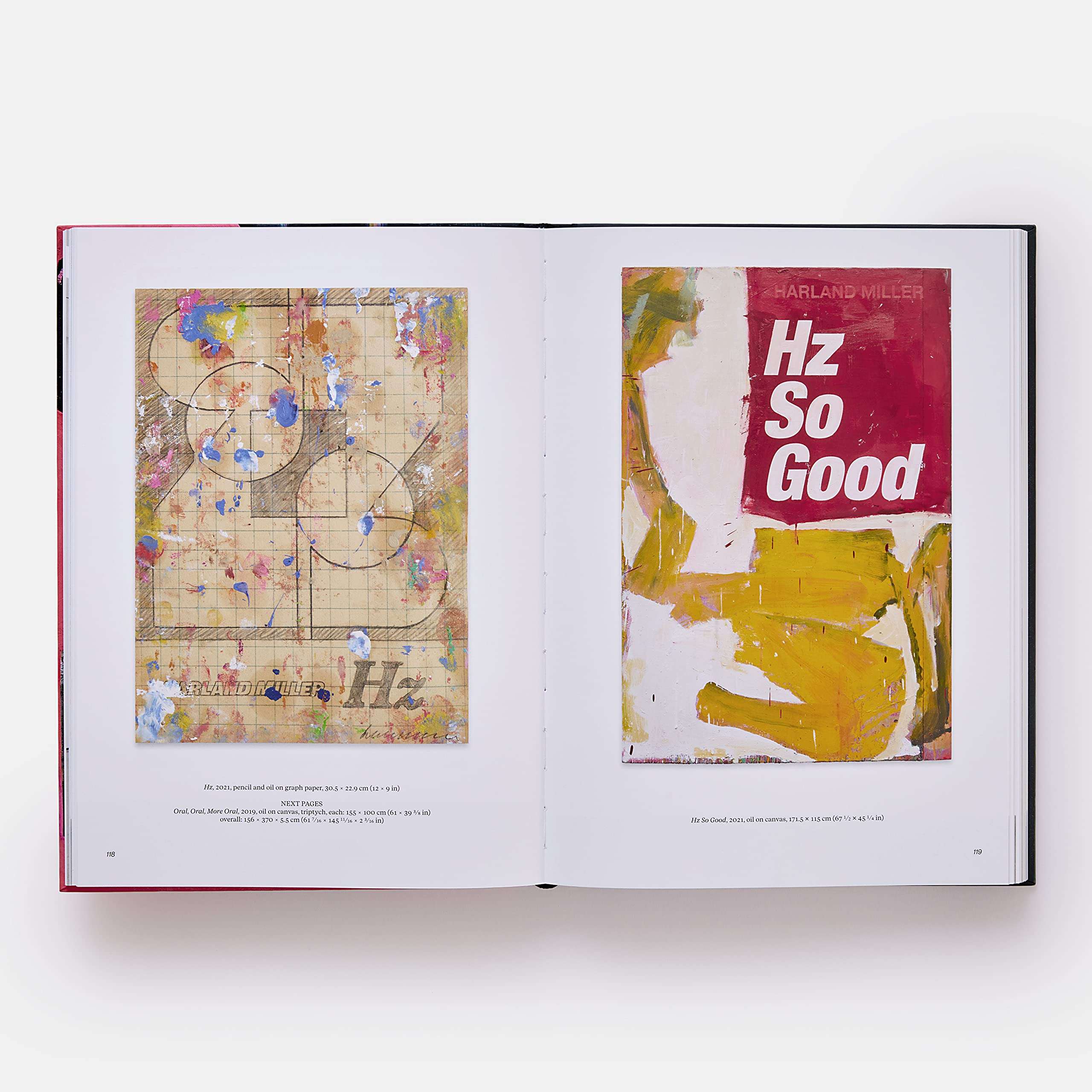 Harland Miller, In Shadows I Boogie: Revised and Expanded (2022) - Image 3