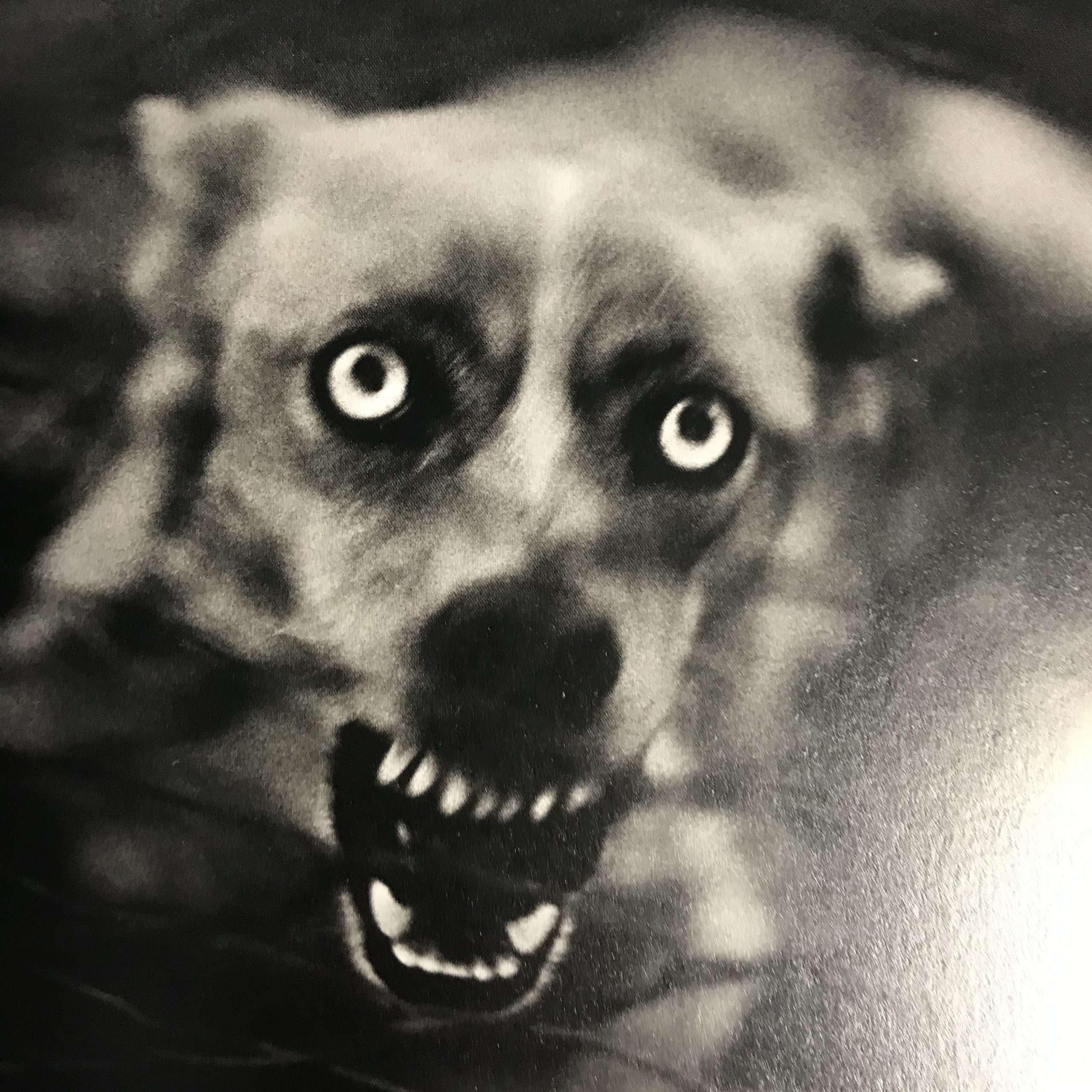 Giacomo Brunelli: The Animals (Signed) - Image 3