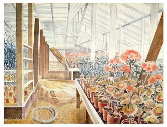 Geraniums and Carnations