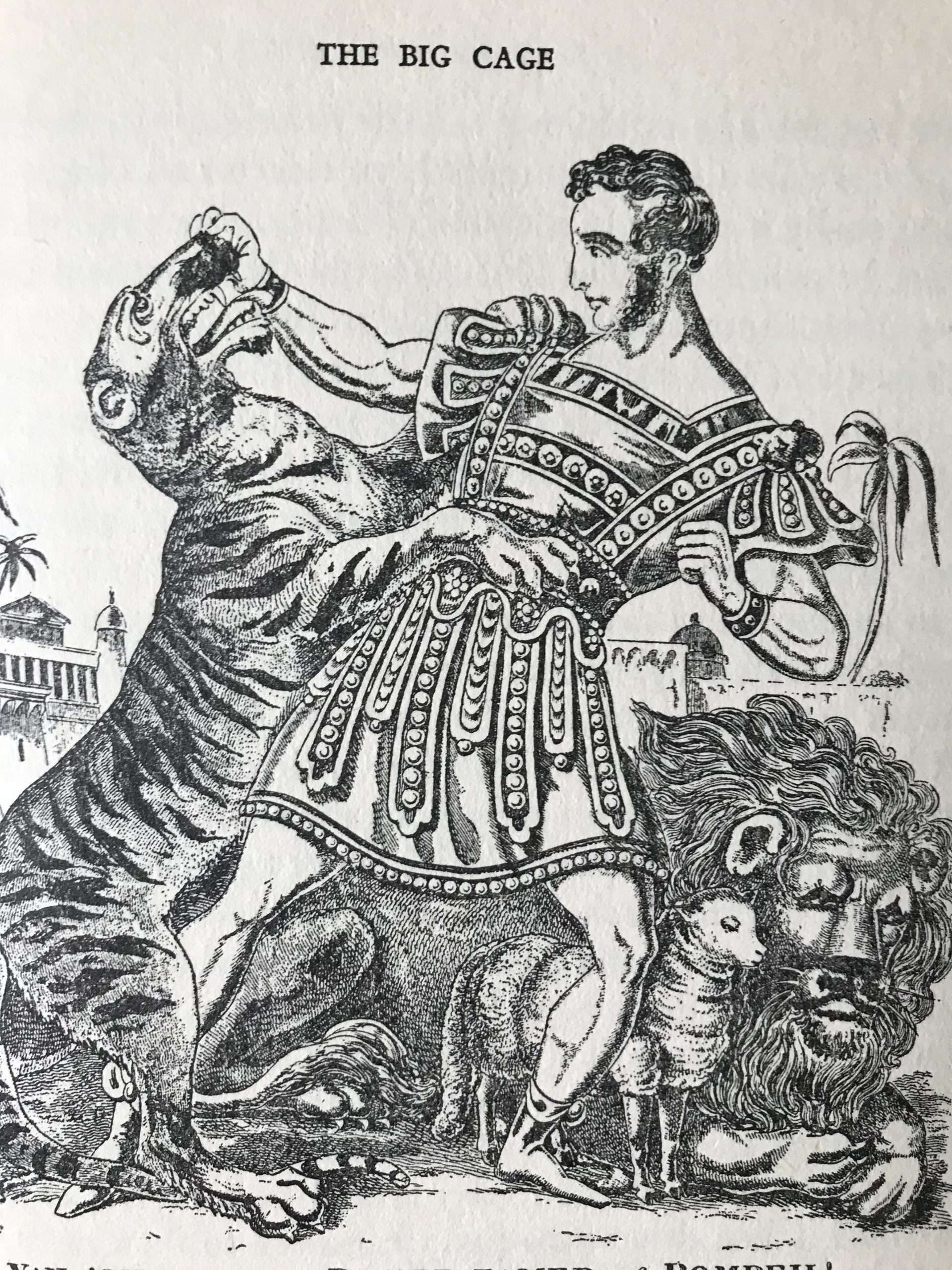 A Seat at the Circus (Illustrated by John Skeaping) (1951) - Image 3