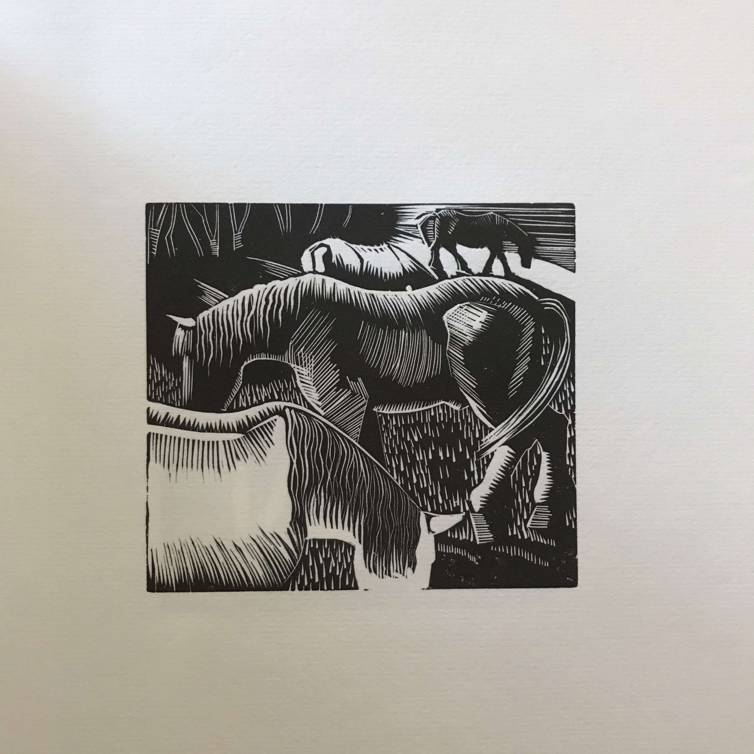 John Nash: 21 Wood Engravings - Image 3