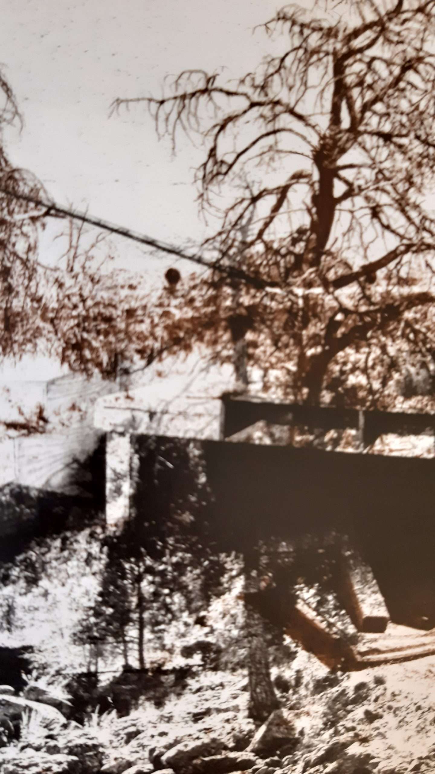Christopher Wool - Swamp (Signed) (2019) - Image 2