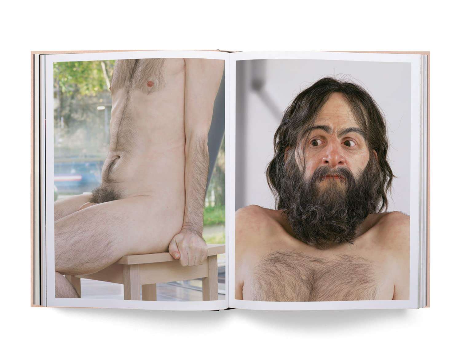 Ron Mueck 2