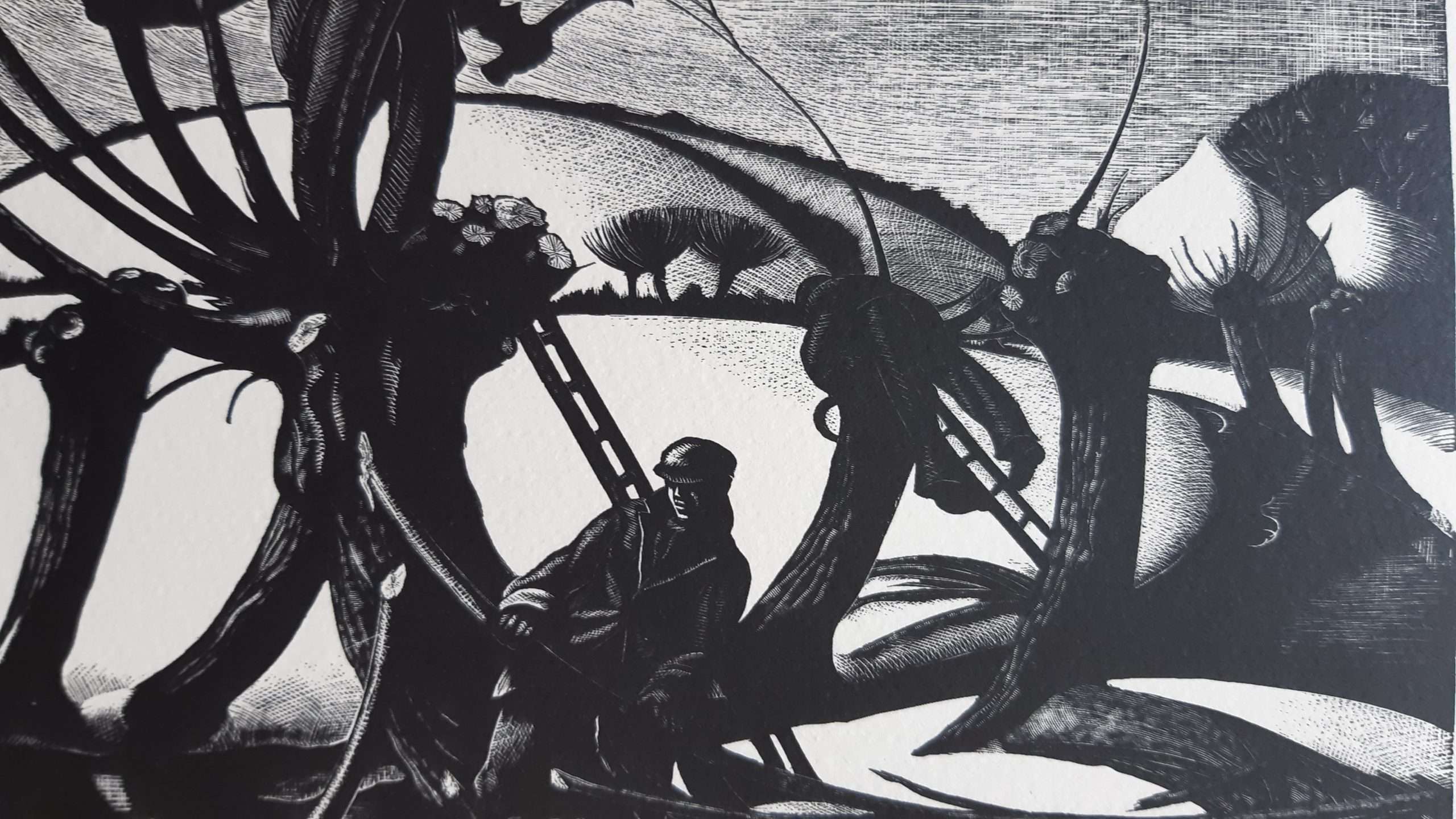 Clare Leighton 'February: Lopping' (1995) (Lithograph) - Image 2