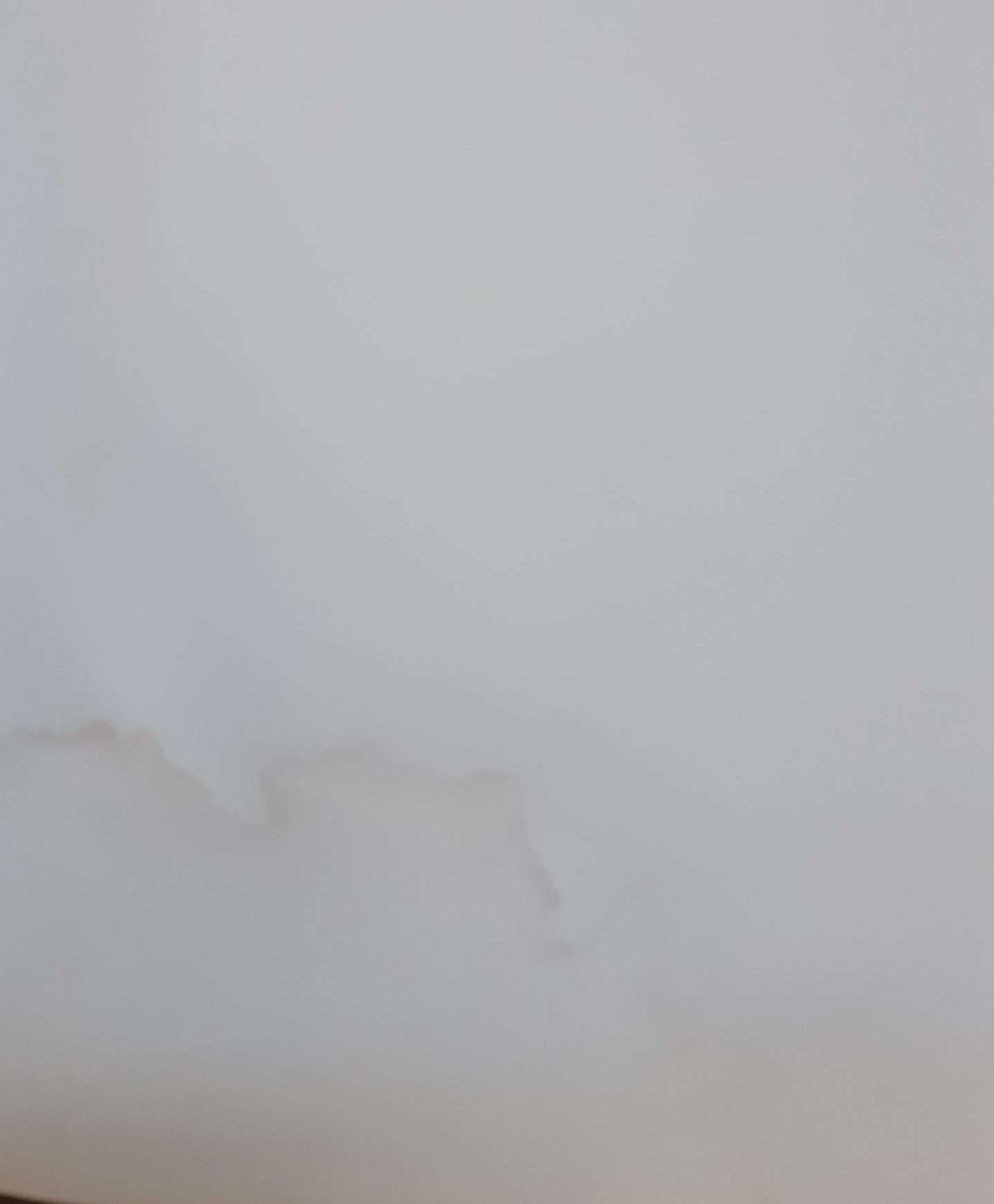 Grace Robertson: A Sympathetic Eye (Signed) (2002) - Image 5