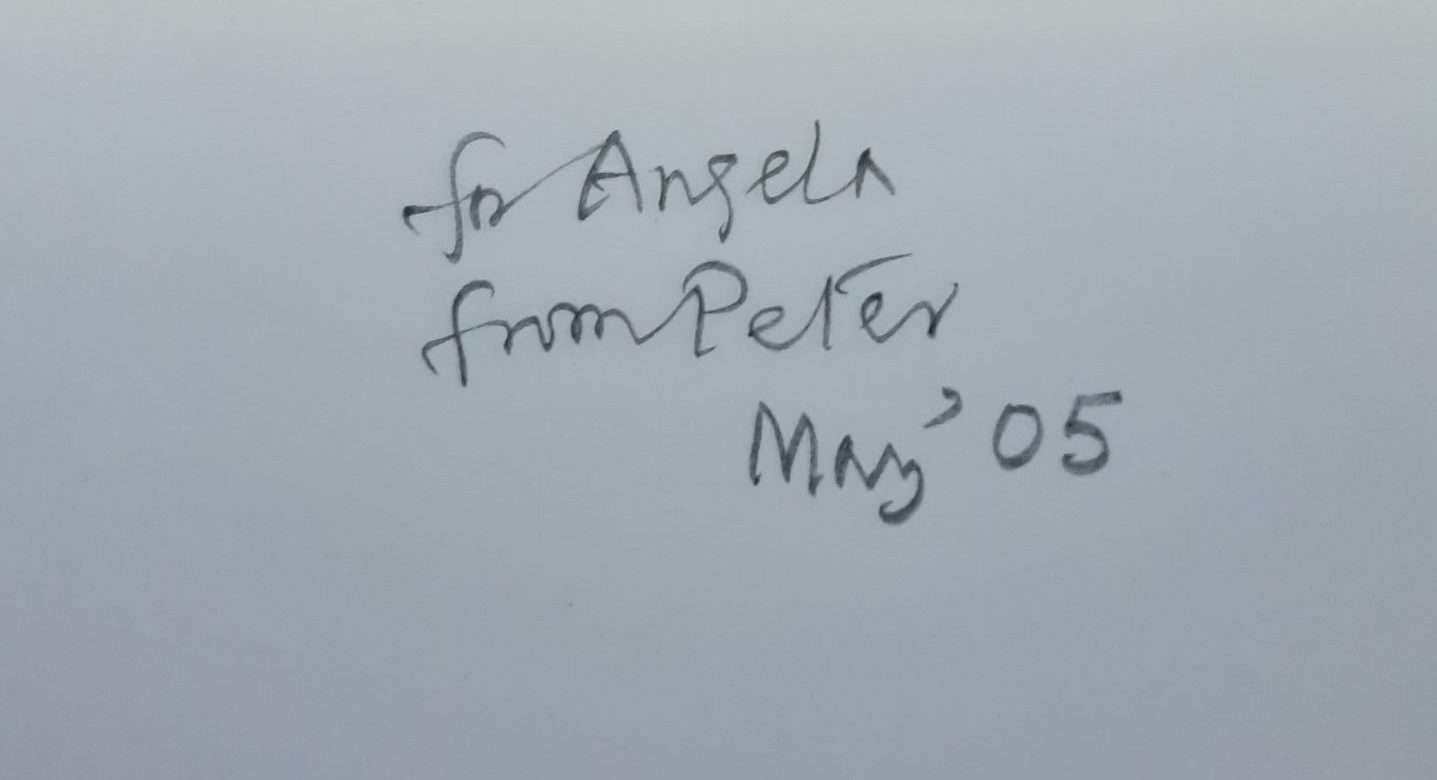 Paul Feiler The Near and The Far Paintings 1953-2004 (2005) - Image 2
