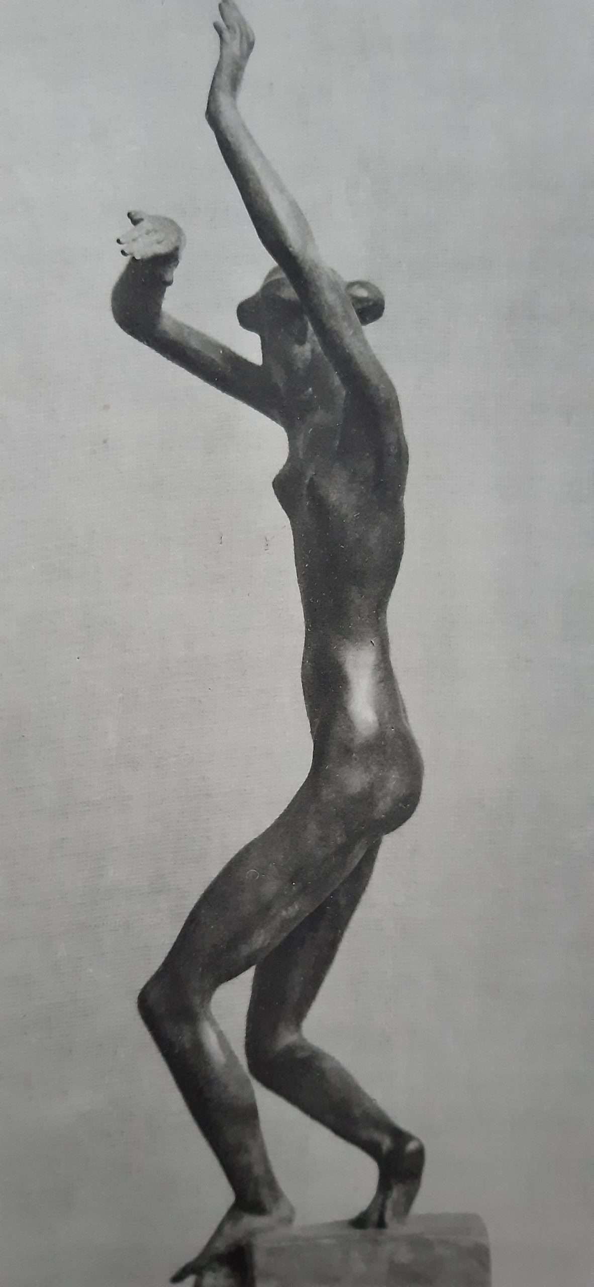 A Life of Gaudier-Brzeska (1930) - Image 5