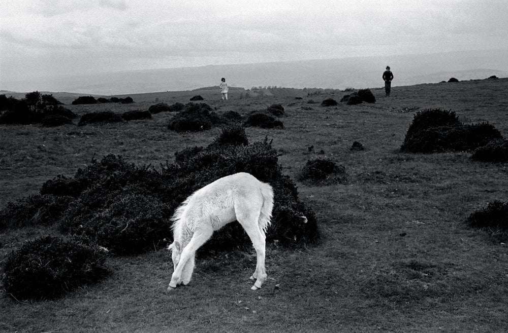 David Hurn: Photographs 1955-2020 (SPECIAL EDITION WITH SIGNED AND LIMITED SILVERPRINT) - Image 2