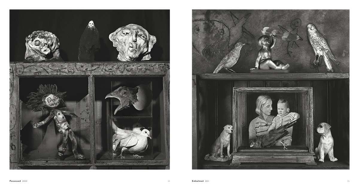 Roger Ballen: Asylum of the Birds (2014) - Image 3