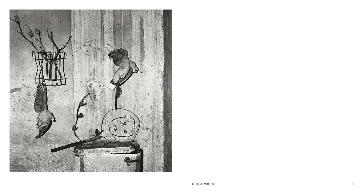 Roger Ballen: Asylum of the Birds (2014) - Image 2