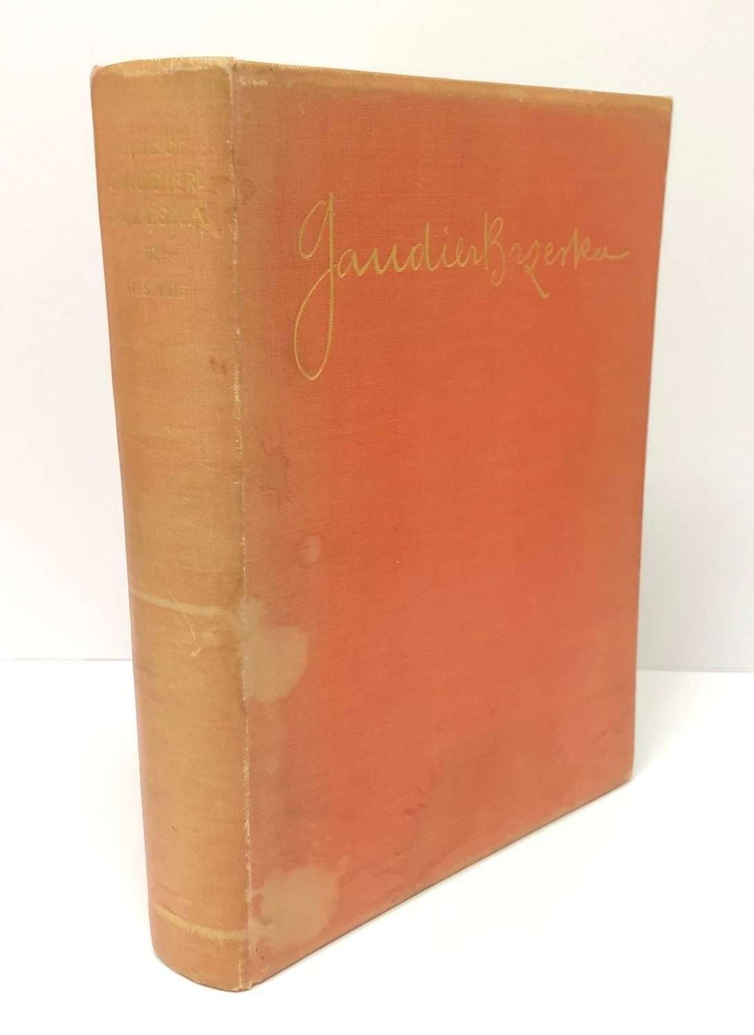 A Life of Gaudier-Brzeska (1930) - Image 11