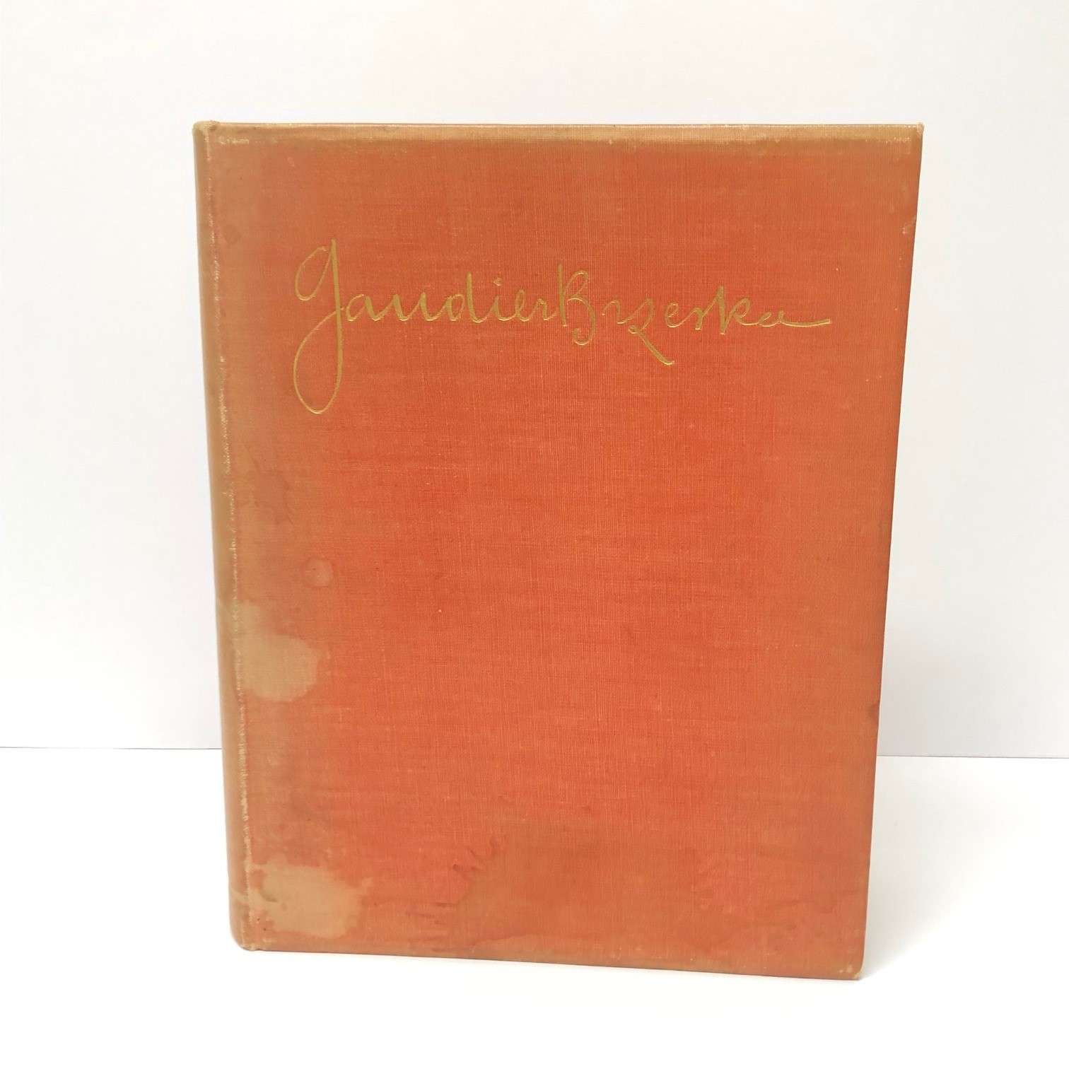 A Life of Gaudier-Brzeska (1930) - Image 10