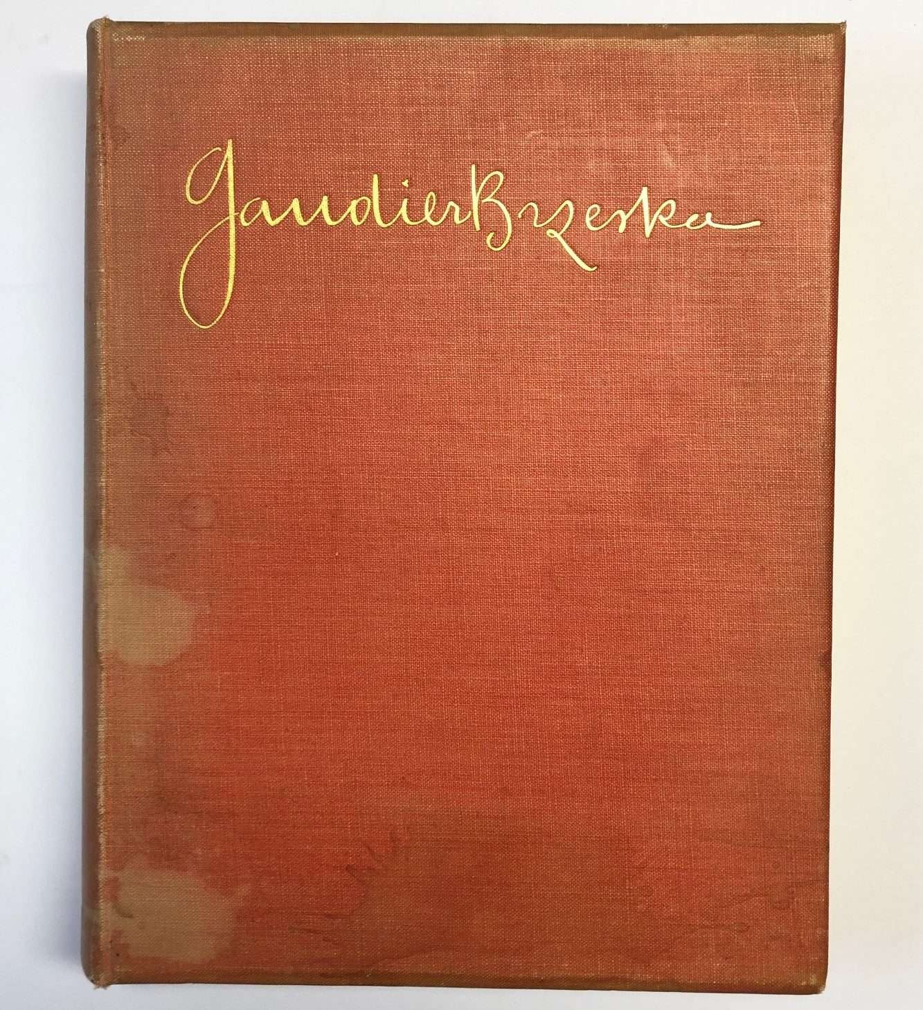 A Life of Gaudier-Brzeska (1930)