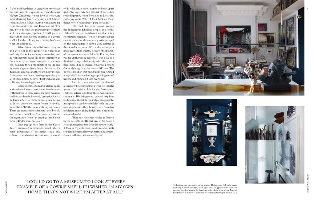 The New Naturalists: Inside the Homes of Creative Collectors (2022) - Image 3