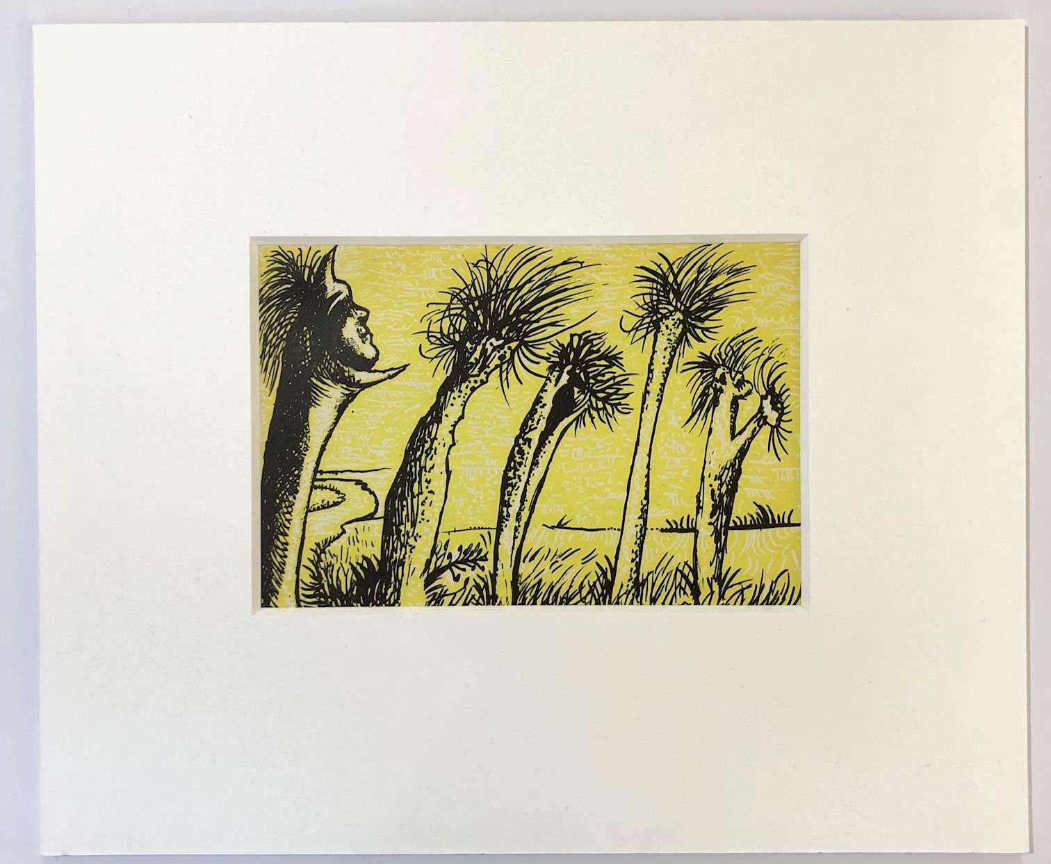 Plate 9