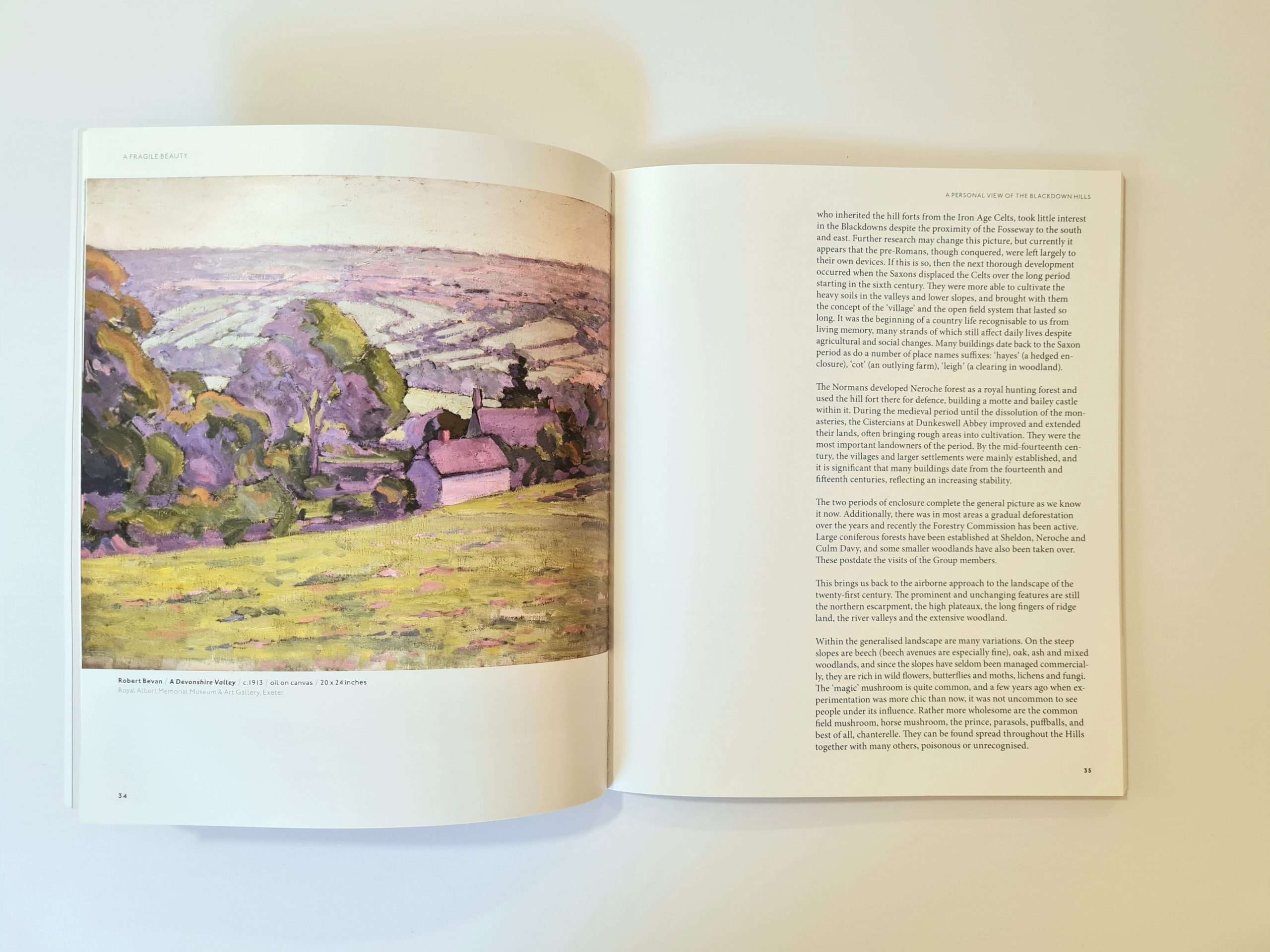 A Fragile Beauty: The Camden Town Group In The Blackdown Hills 1909-1925 - Image 2