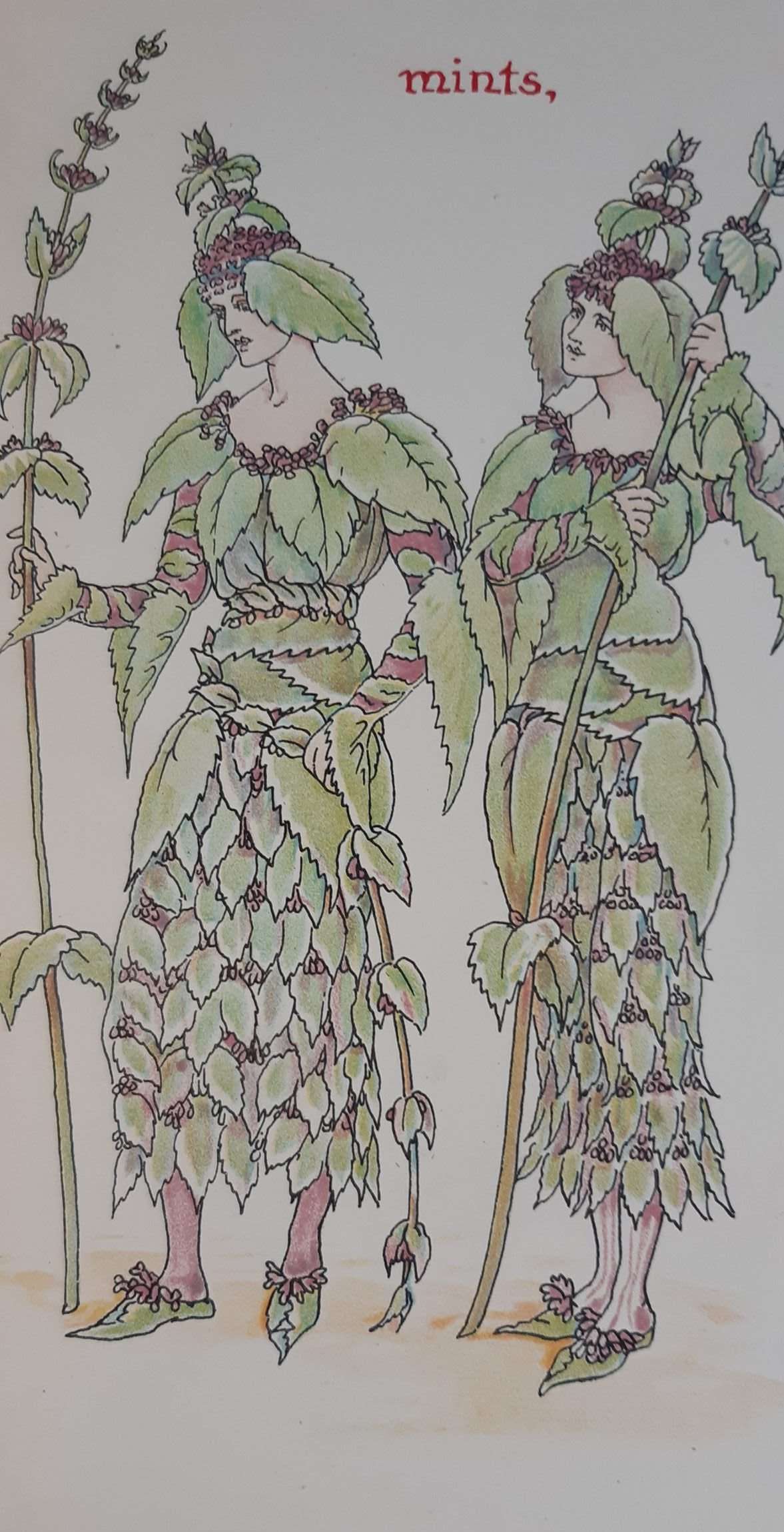 Flowers From Shakespeare's Garden (1906) (Walter Crane) - Image 4