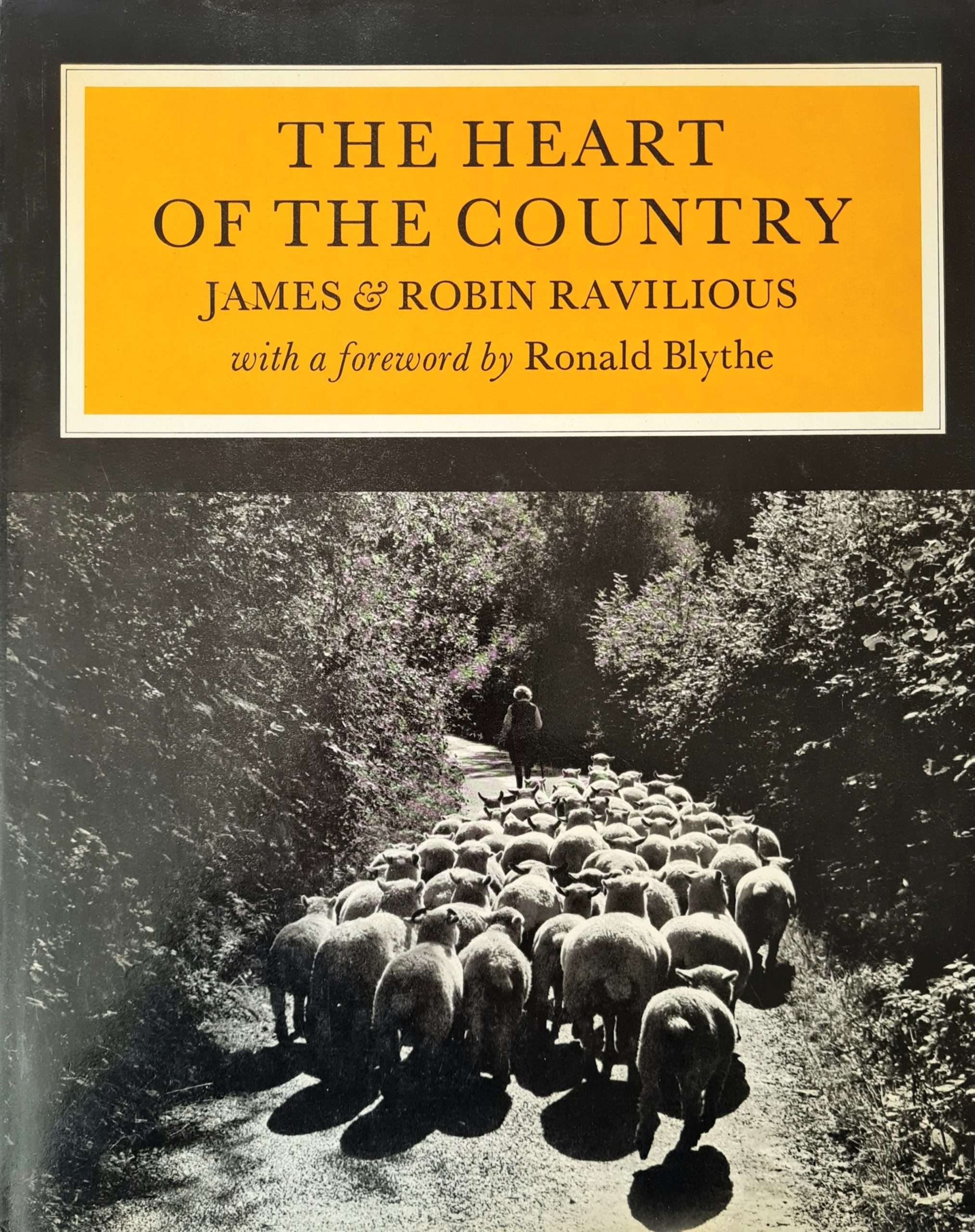 The Heart of The Country: James and Robin Ravilious (1980)