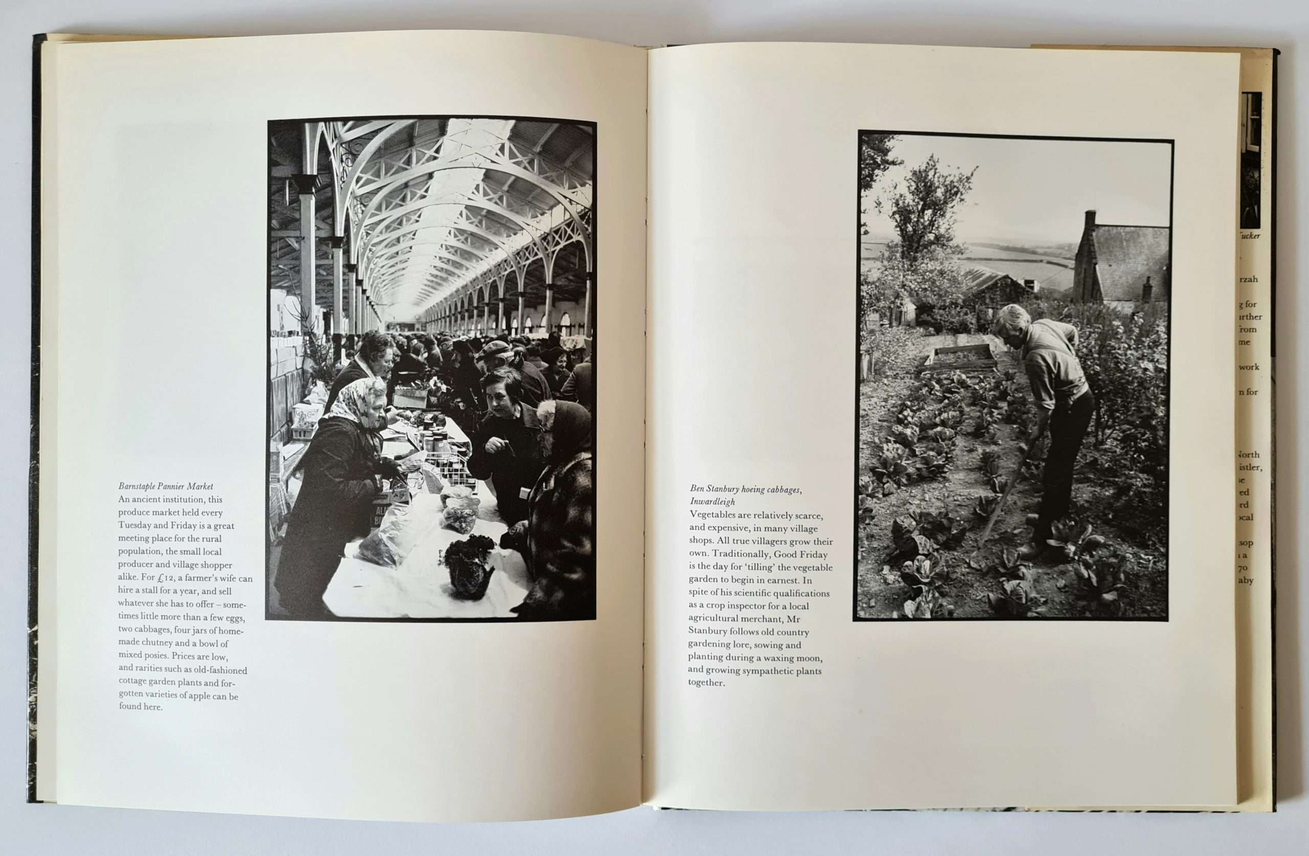 The Heart of The Country: James and Robin Ravilious (1980) - Image 3