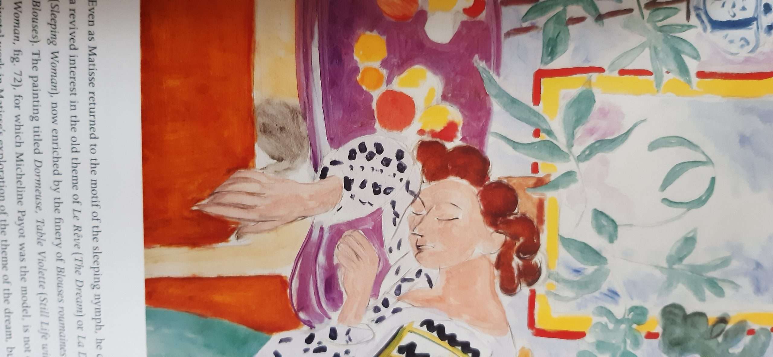 Matisse: From Color to Architecture (2004) - Image 5