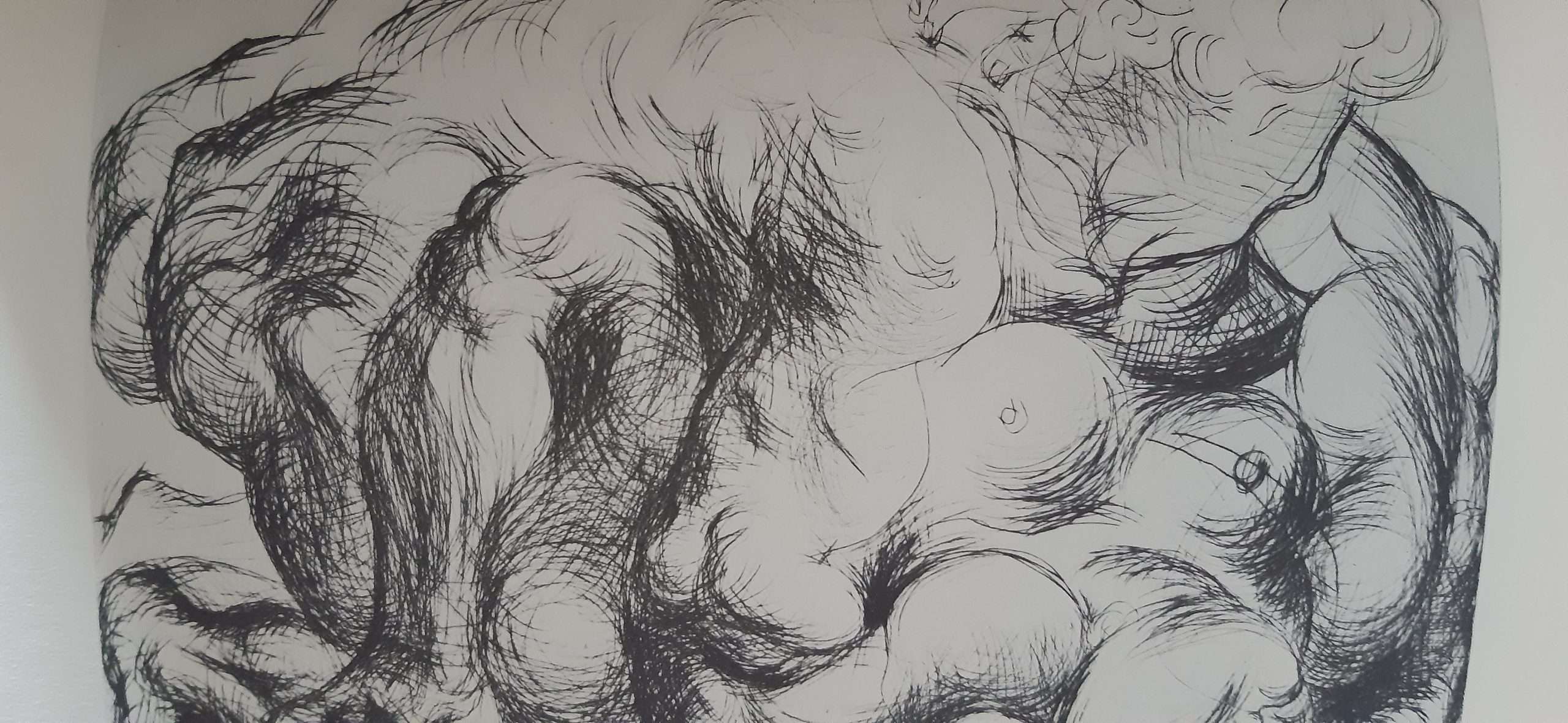 Picasso's Vollard Suite (1956) - Image 2