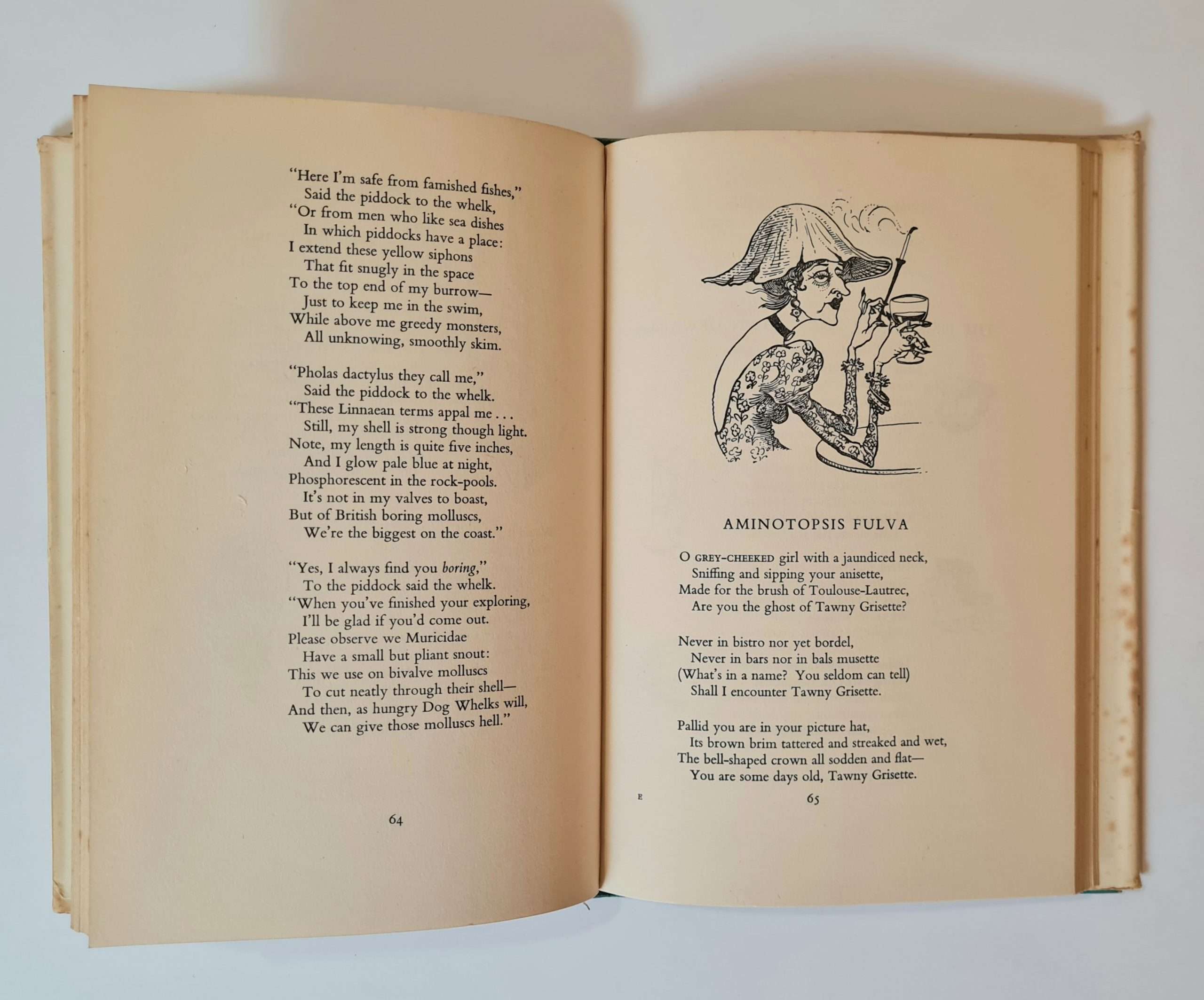 Zoo for Zanies (Val Biro Dust-Jacket and Illustrations) (Ronald Blythe Interest) - Image 4