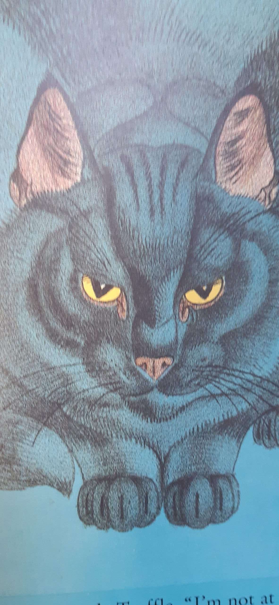 Orlando (The Marmalade Cat) His Silver Wedding (1994) - Image 3