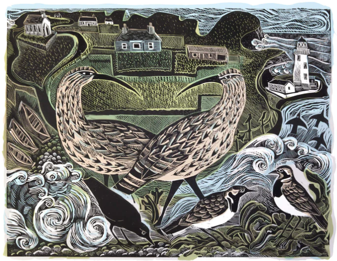 Fair Isle Curlews