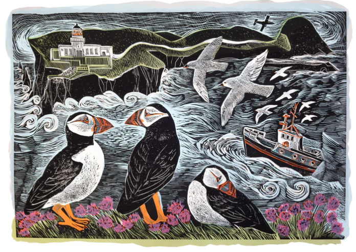 Fair Isle Puffins