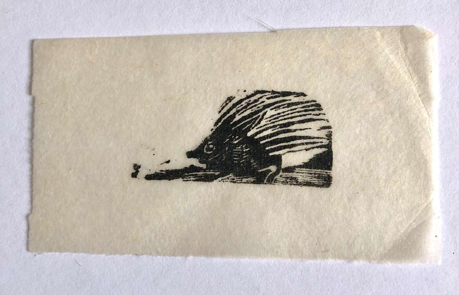 Hedgehog