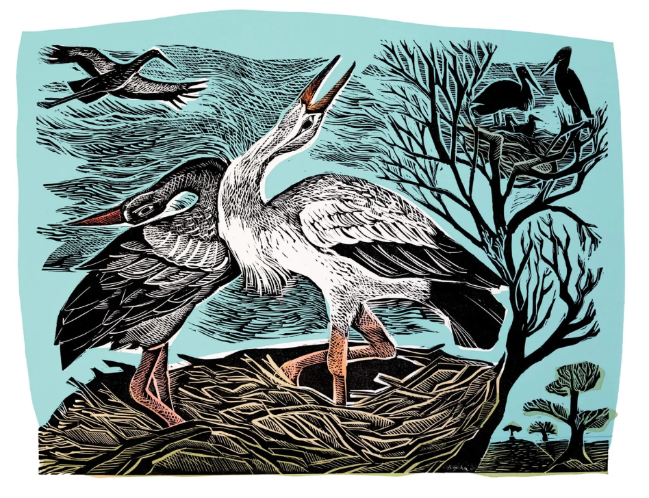 Knepp White Storks