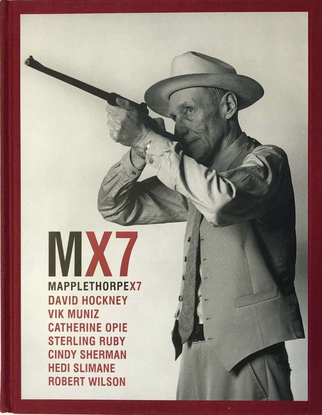 Mapplethorpe x 7 (2011)