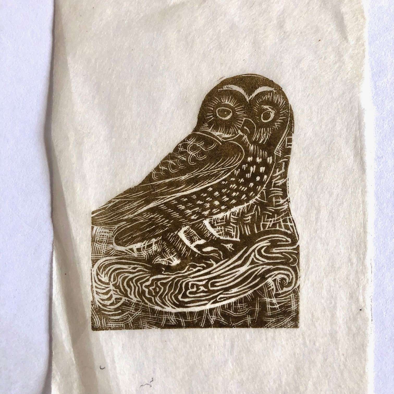 Owl