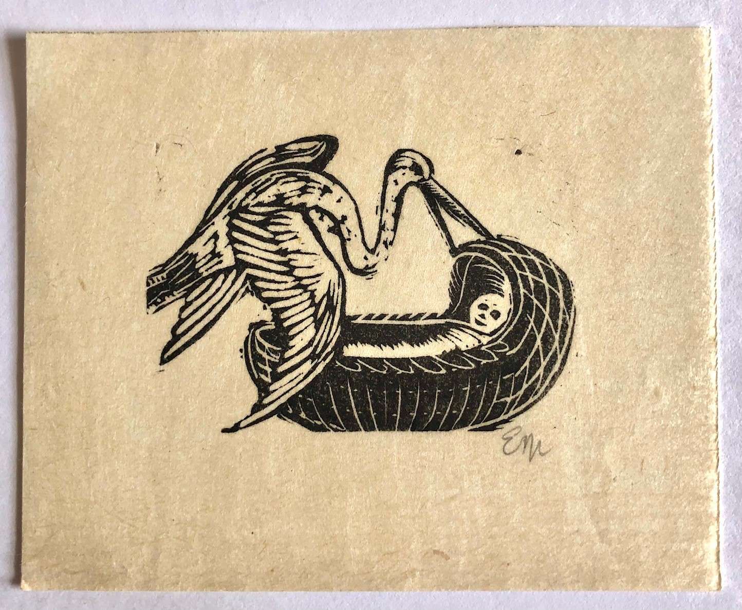Stork