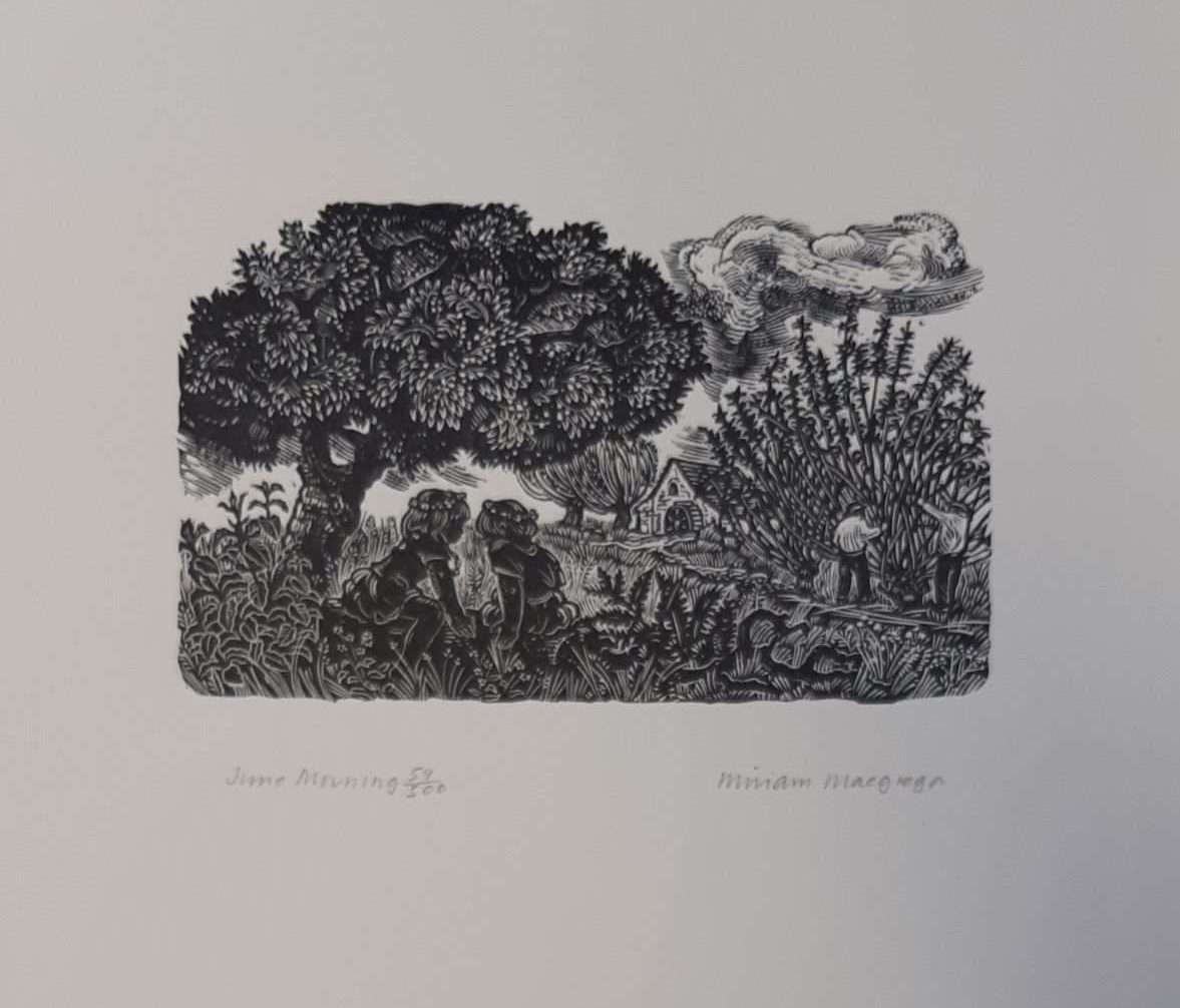 Miriam Macgregor: June Morning (Merivale Editions) - Image 2