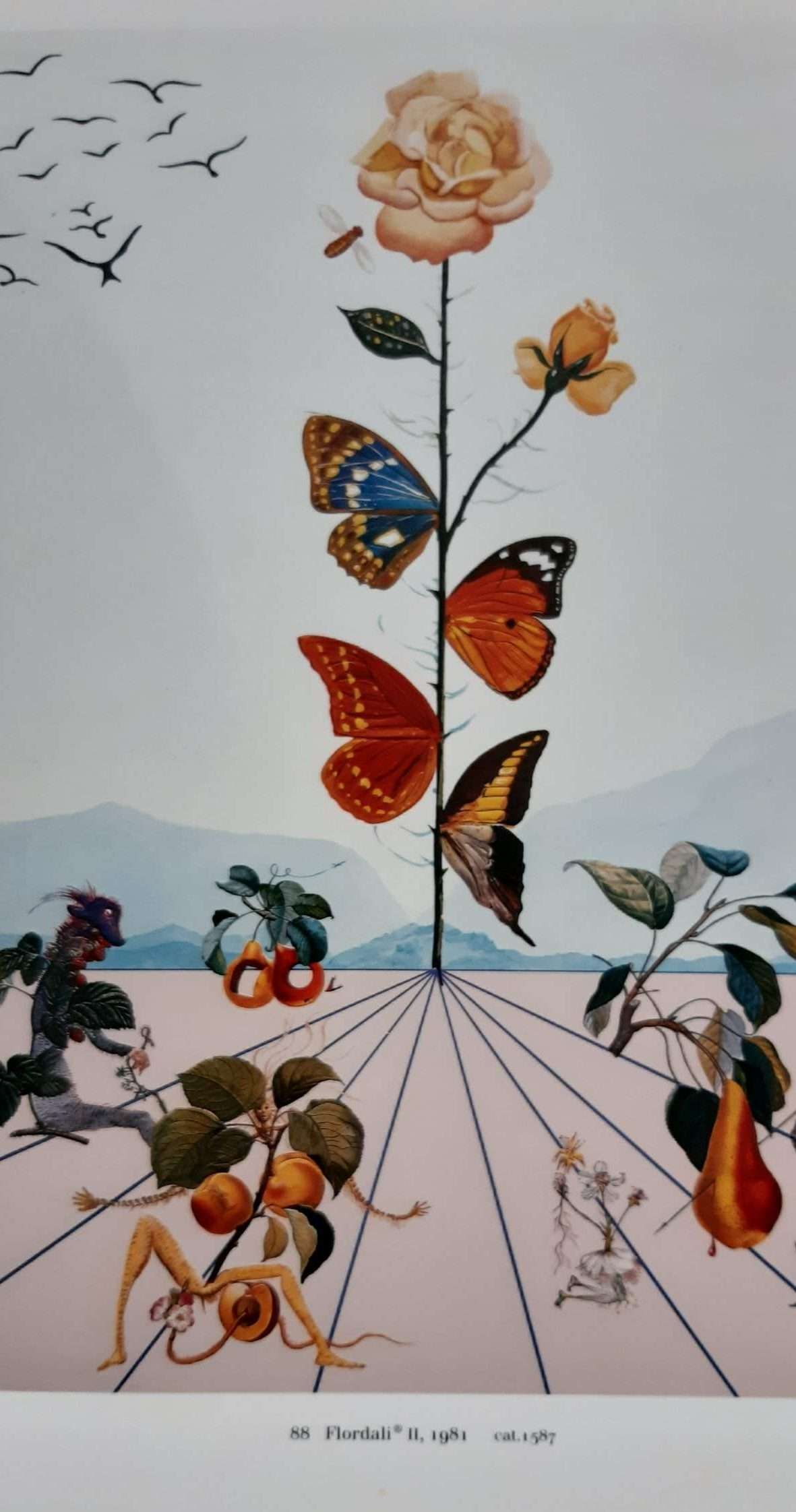 Dali: Catalogue Raisonne of Prints II: Lithographs and Wood Engravings 1956-1980 - Image 2